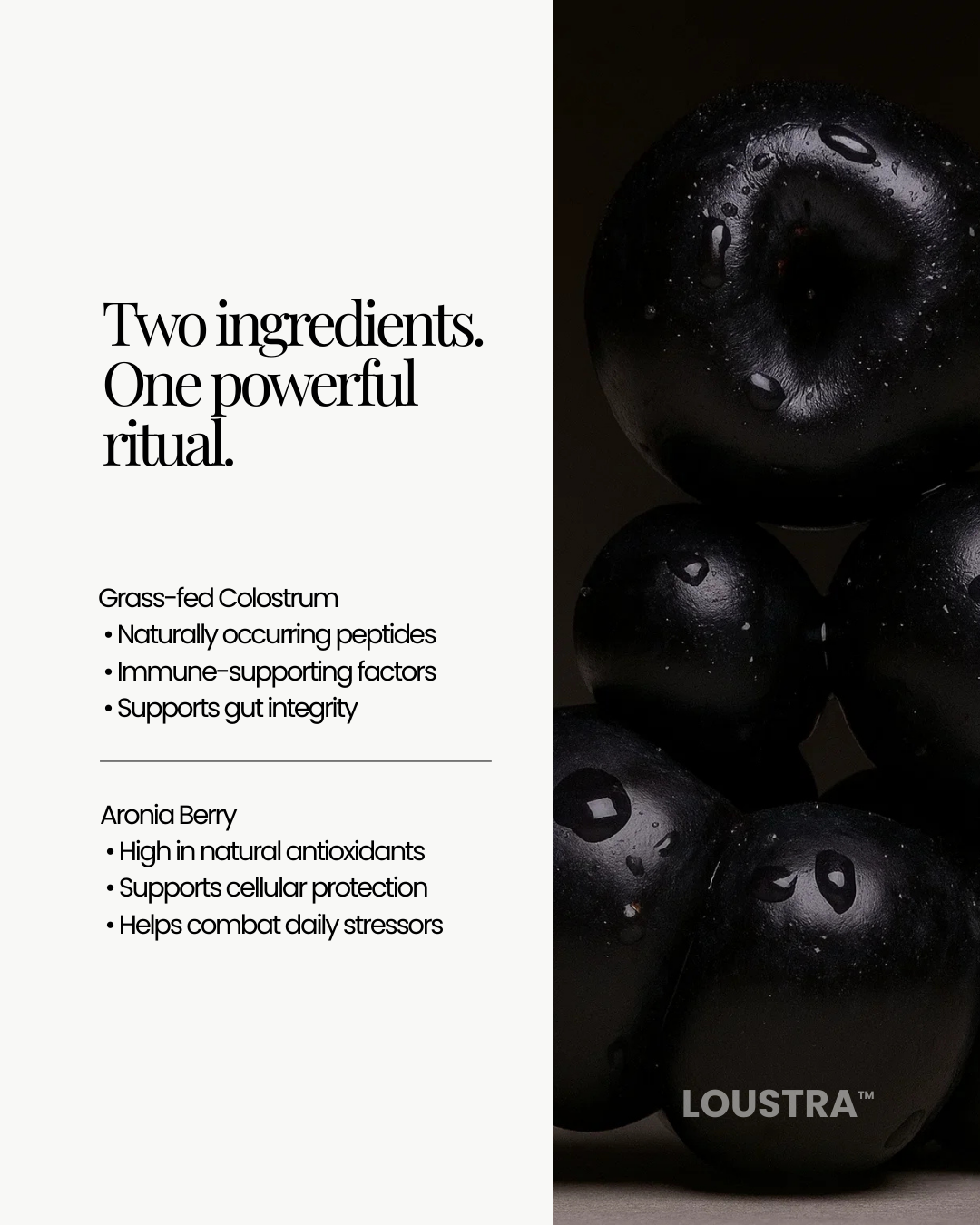 Vital Tonic – Colostrum & Aronia