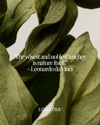 Vital Tonic: Colostrum + Aronia